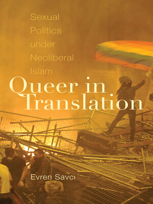 cover image of Queer in Translation